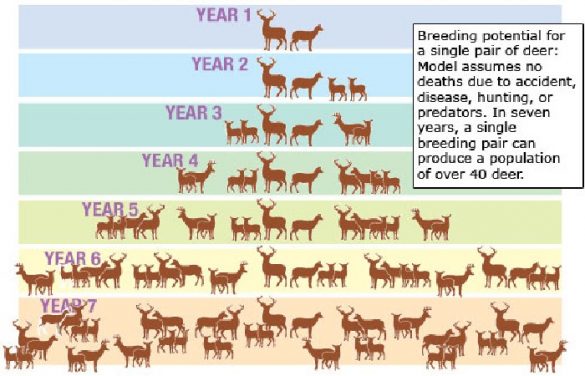 Carrying Capacity Hunter Ed – Wildlife Conservation