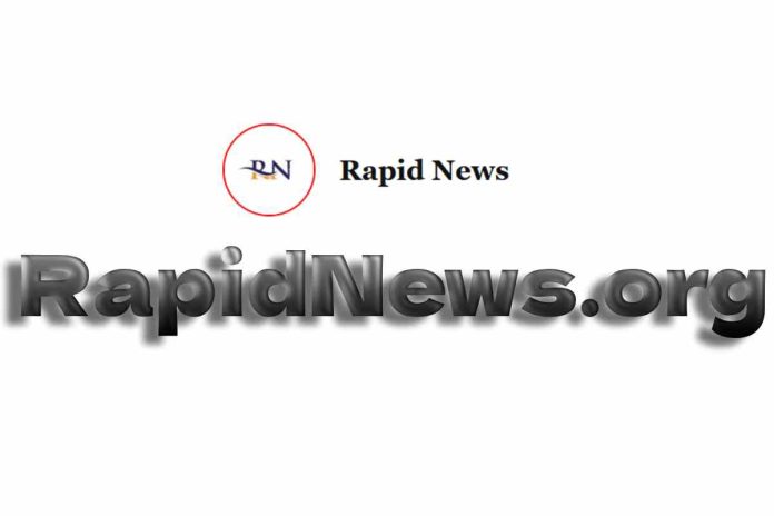 RapidNews.org